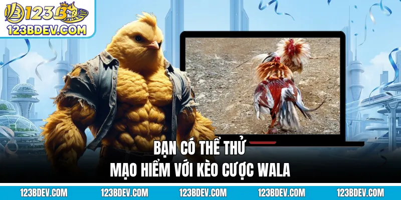 Bạn có thể thử mạo hiểm với kèo cược Wala