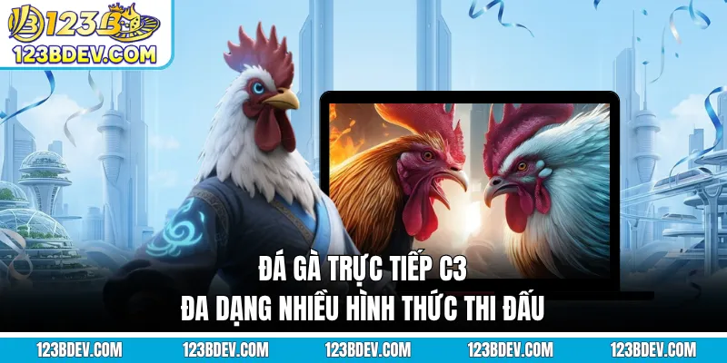 Đá gà trực tiếp C3 đa dạng nhiều hình thức thi đấu